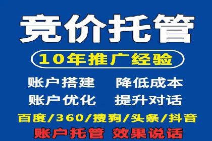 案例研究：百度推广托管助力电商品牌快速崛起